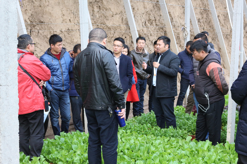 在盆栽蔬菜溫室，李軍老師給十二期學(xué)員講解盆栽蔬菜技術(shù)